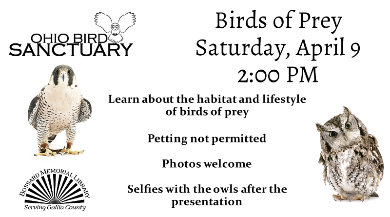 Birds of Prey Visit | Bossard Memorial Library